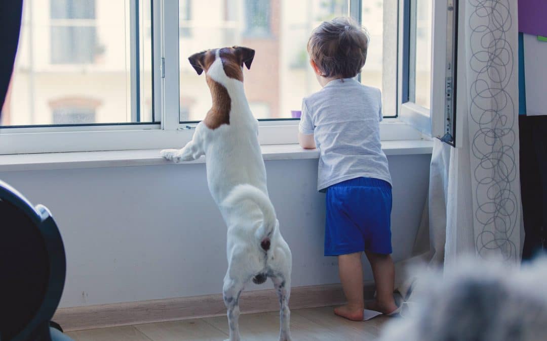 Young boy looking out the window alongside his dog, with paws and hands on the window sill