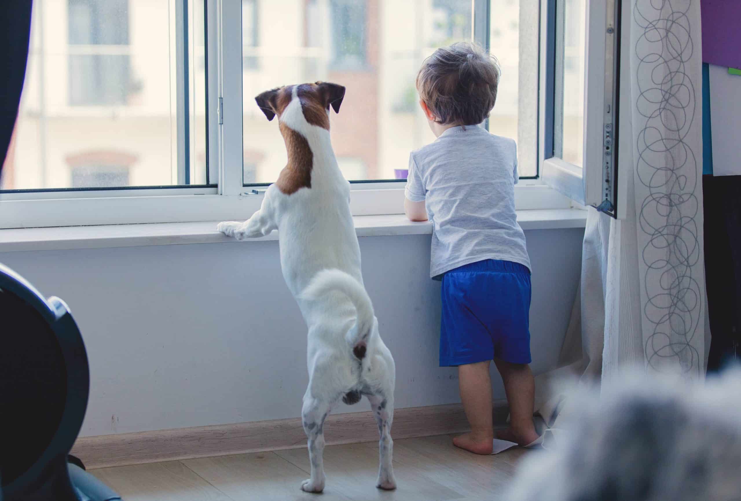 Young boy looking out the window alongside his dog, with paws and hands on the window sill